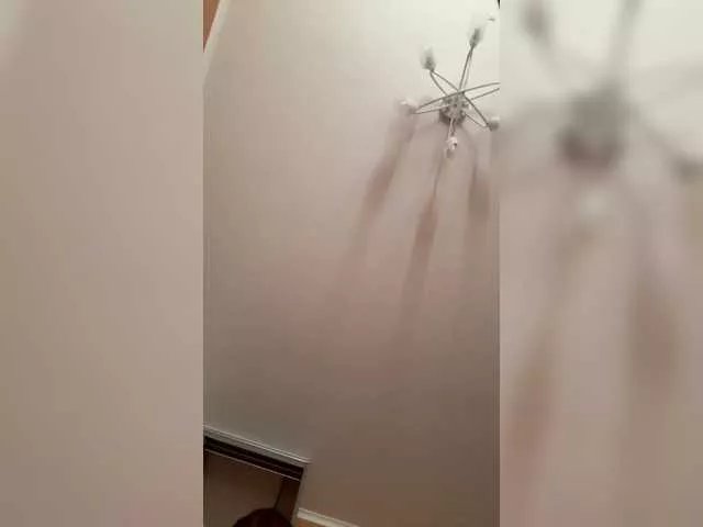 Freechat elegantbabe on BongaCams