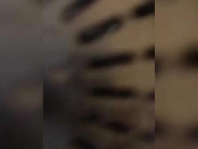 Freechat Marinade on BongaCams