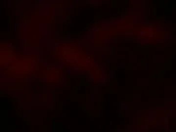 Freechat kloelamaravilla18 on Chaturbate