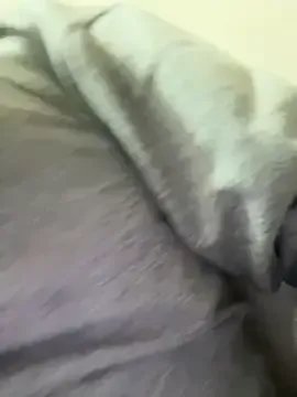 Freechat Emily_Rivers_ on StripChat