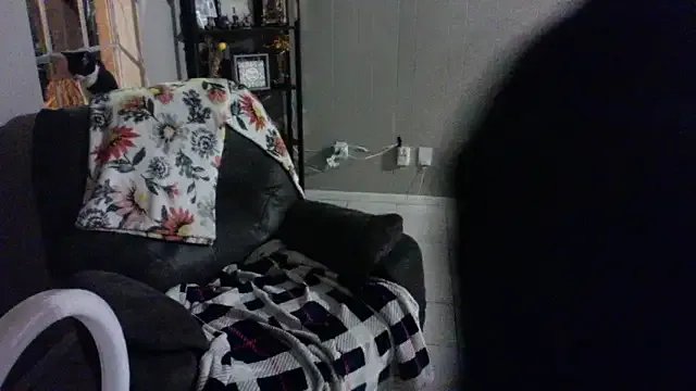 Freechat HTXBELLE on StripChat