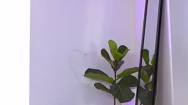 Private Jenna_Day on StripChat