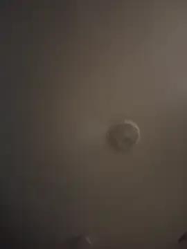 Freechat Realwetpussy on StripChat