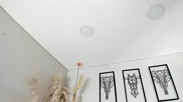 Freechat Rebeca_jones on StripChat