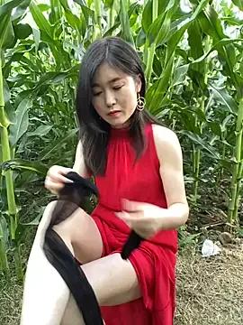 Freechat sunny-520 on StripChat